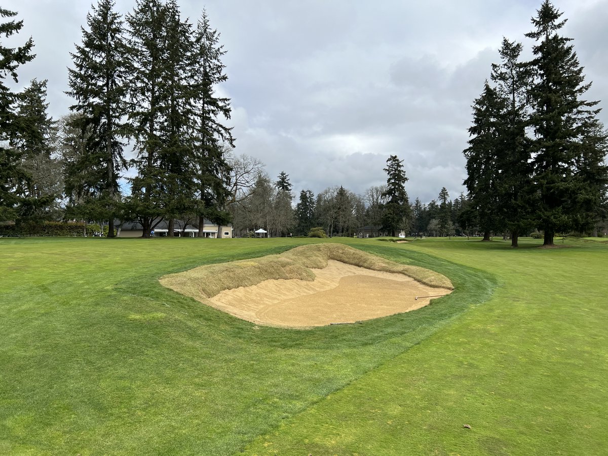 Very proud of the work <a href="/ColeyCorndog/">Coleson Clark</a> and his team did on this bunker re-grassing project.  Now it will be interesting to see how the subsurface drip helps this south facing bunker survive the summer.