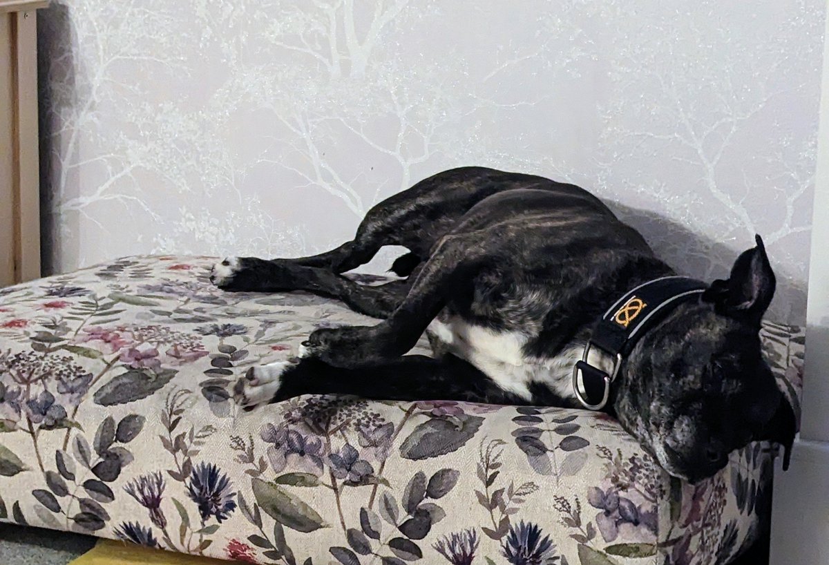 PD Cooper tweet media