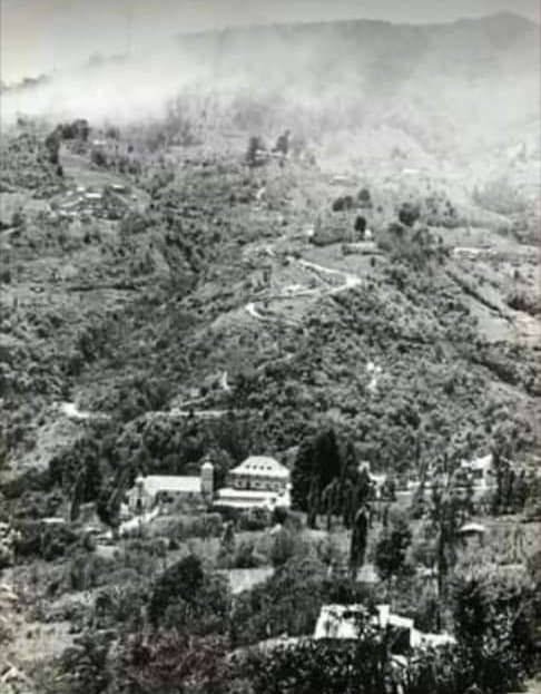 Yuly Schmuck tweet media