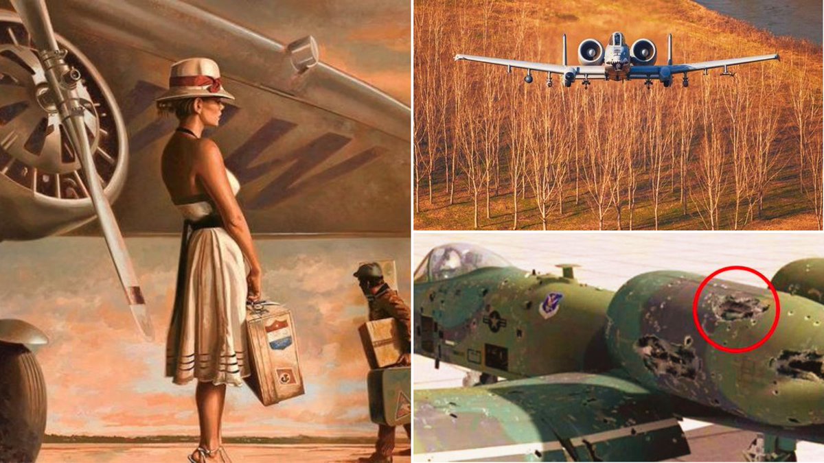 The A-10 Warthog – that is the 🇺🇸American plane, that 🇺🇦Ukraine is impatiently ⏳waiting for! She need it! Will she get it? (Illustration on left by Peregrine Heathcote).
#a10 #a10warthog #A10Thunderbolt