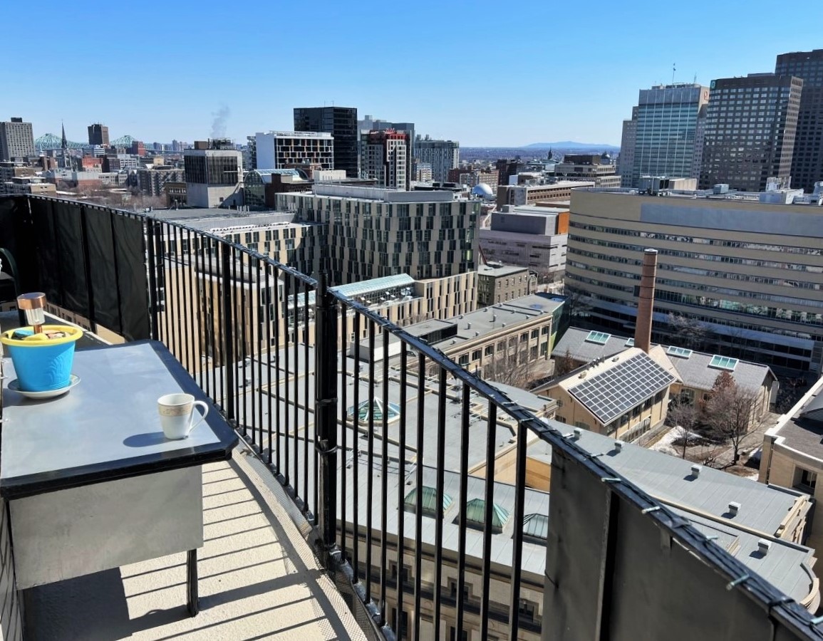 JOYEUSES PAILLES...
Euh... Joyeuses Pâques !...
Moi, frette ou pas frette, c'est la fin de semaine de Pâques, j'ai sorti mon Panama (chapeau de pailles) de chez Henri &amp; Henri.  

Il fait très beau aujourd'hui à Montréal, même pas un nuage décoratif dans le ciel bleu... 

#LAGRC