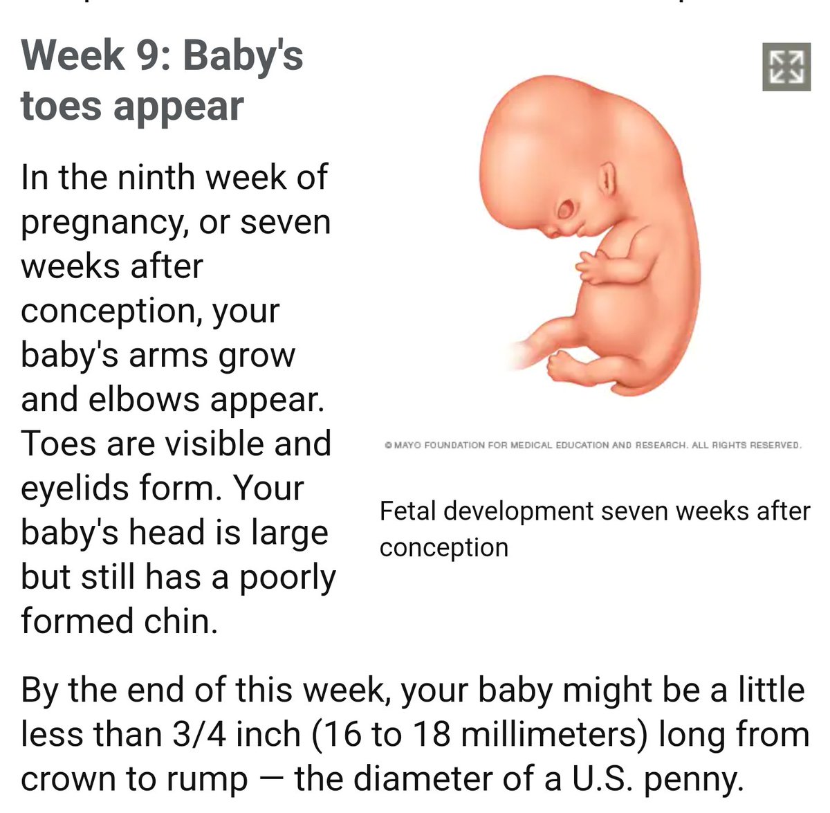 Chad felix greene on twitter you are lying https mayoclinic
