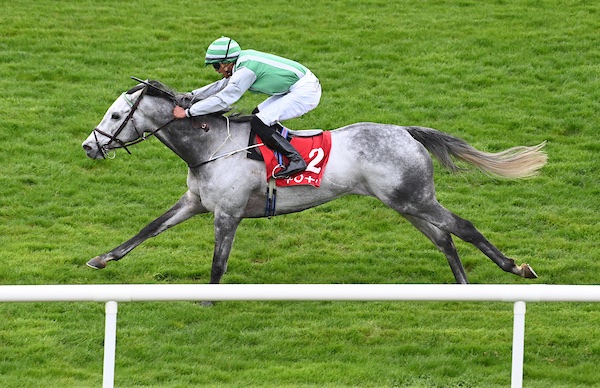 corkracecourse's tweet photo. Real Force and Yudish Geerdharry win the 5f SP Or Better Guaranteed With Tote Handicap for Trainer Darren Bunyan 🏆

@thetotecom 

📷 Healy Racing https://t.co/Srw3OUMktm