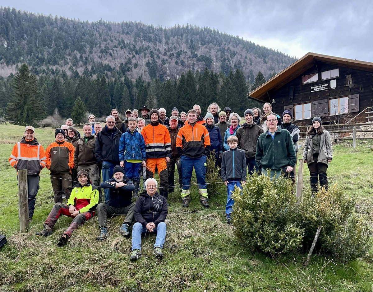 luethithomas's tweet photo. Heute gemeinsamer Naturschutzeinsatz von #BirdLifeSolothurn und Jagdverein Gänsbrunnen auf dem Subigerberg. Entbuschung und Artenförderung für die Davalls Segge  im #Naturparkthal https://t.co/YIdiMGeVUa