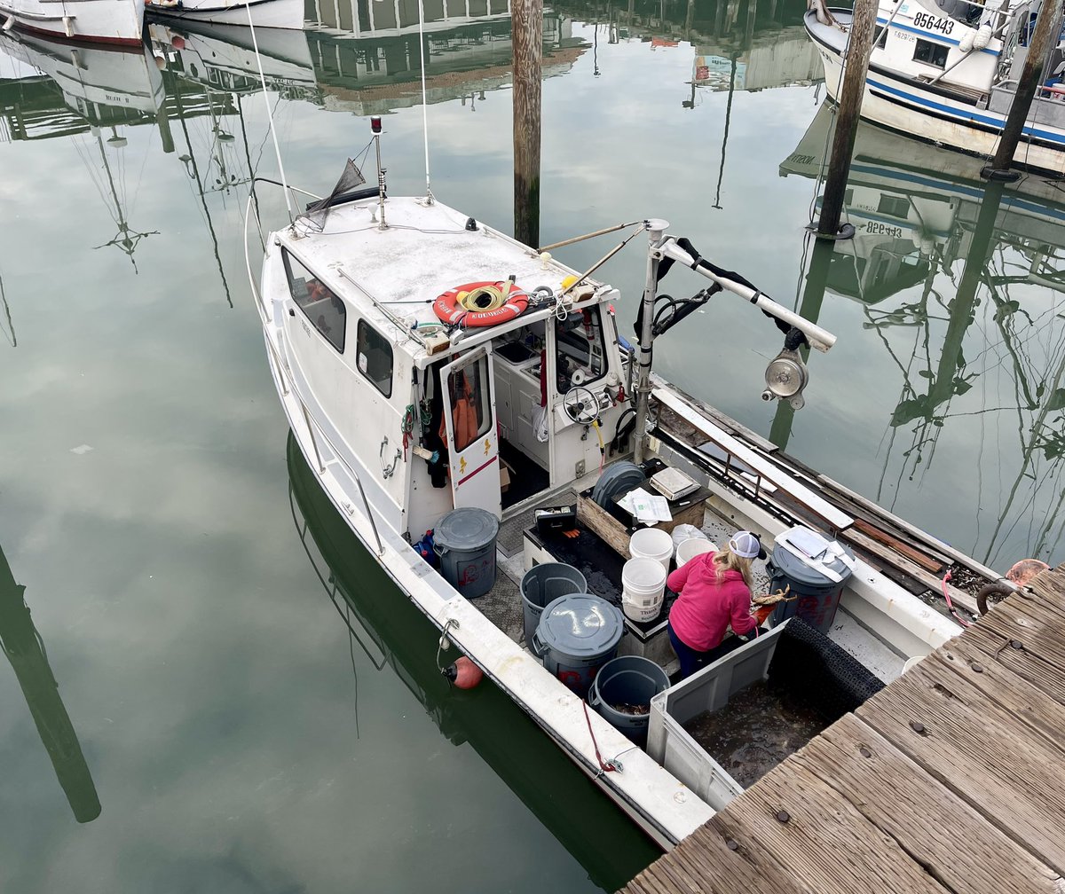 ElaineLeung4's tweet photo. Holly the Pink Mermaid🧜♀️ is rockin it this AM at #SF #Pier45 @TheWharfSF! One of the last hauls of Dungeness crabs, as the 🦀season ends on April 15th… Got a bucket of 8 feisty ones! Am grateful🙏🏽
#HappyEasterWeekend! https://t.co/VBImawk3RB