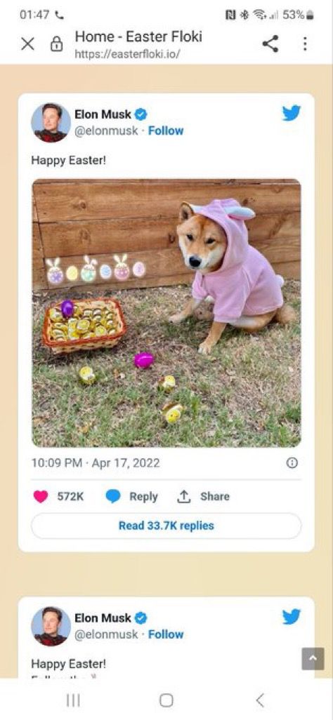 KateMillerGems's tweet photo. 🔥@TheEasterFloki brought to you by @Santa_Floki Dev team that reach an ATH of $32M in 2021 after @elonmusk tweeted about them; https://t.co/LcR3oi3FdU

TG https://t.co/2L0oWVEU3I
Based Team, CA Renounced, LP Locked 🔒.

#ETH #ElonMusk #Easter #Easter2023 #Crypto #FLOKI https://t.co/DT1Csm08rB