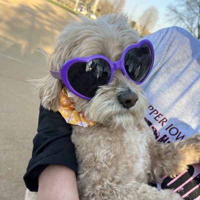 #NewProfilePic