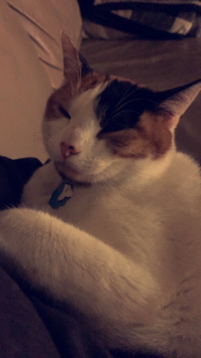 King Coopa tweet media