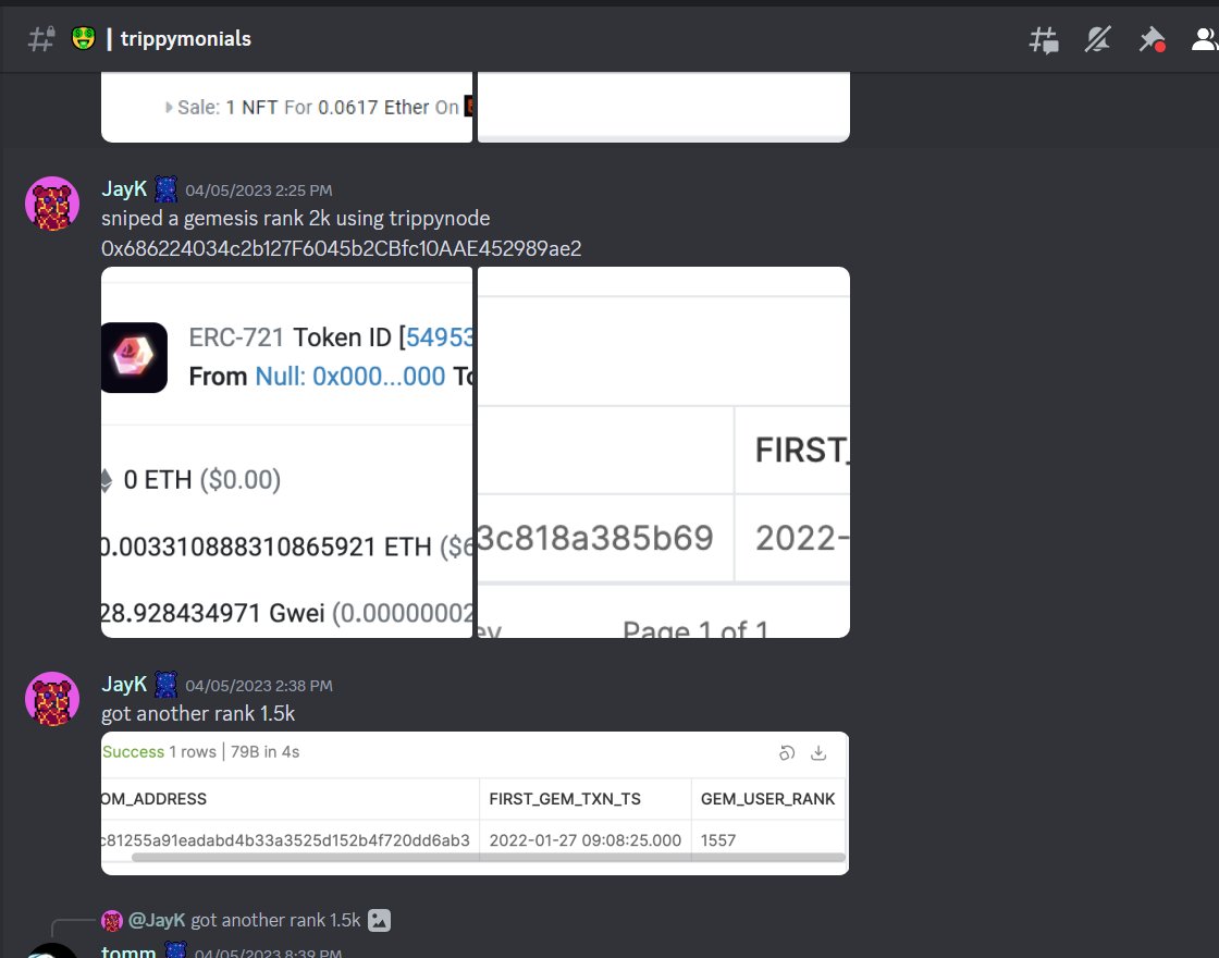 CosmicBearsNFT tweet media