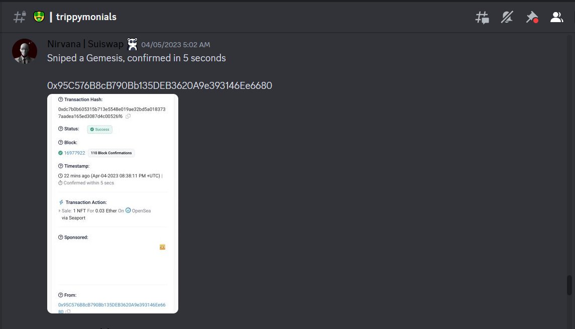 CosmicBearsNFT tweet media