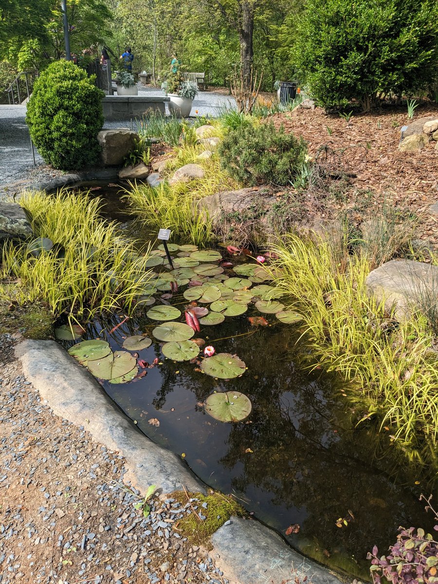 d_bead's tweet photo. Garden of life. #flowers #gardens #botanicalgardens #treesoflife 🌳 #gardenersworld #natureparks 🌳 #gardens #peacefulplace #livelife https://t.co/9yn6msS2bl