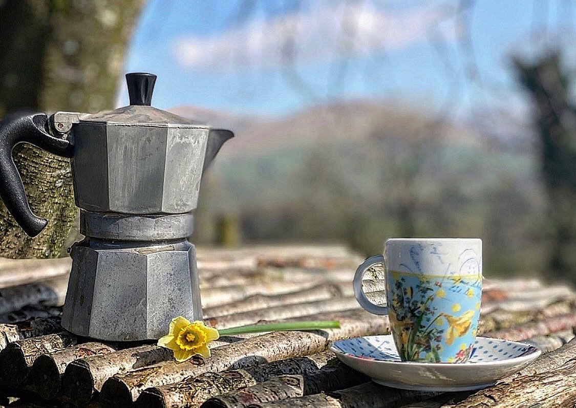 Alison O’Neill ~ Shepherdess tweet media