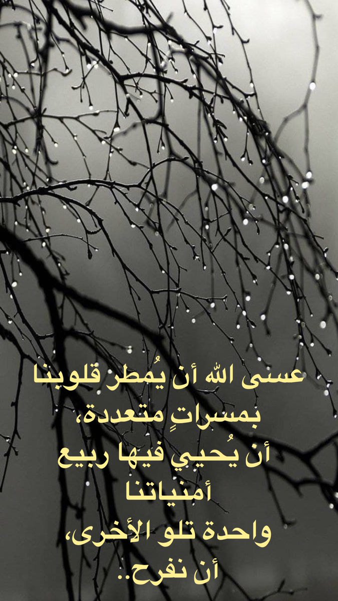 Winter Soldier ❄️🙋🏻‍♂️ (@wintersoldieryz) on Twitter photo 