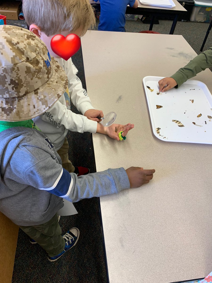 ErieStem's tweet photo. Playing with feathers, wings, &amp; shapes
#Biomimicry
#ForcesOfFlight

Or Classifying Structure &amp; Function
+ Identifying Stability &amp; Change
+ Evaluating Systems &amp; System Models
+ Engaging in Argument from Evidence 

#STEM
❤️

@ErieExcellence https://t.co/VLFT3xKwp0