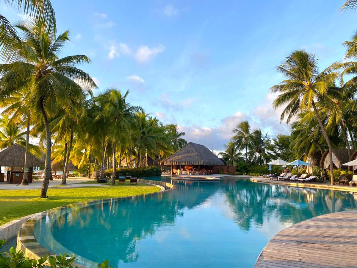 kylevrdfdv's tweet image. 