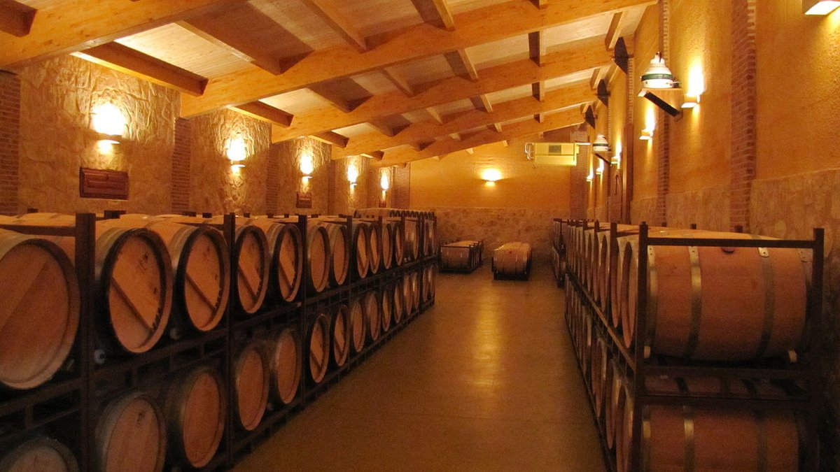 🍷 En #CastillayLeón hay 9 Rutas del Vino que representan la variedad de sus territorios vitivinícolas
<a href="/RutaVinoArlanza/">Ruta de Vino Arlanza</a> <a href="/rutavinoarribes/">rutavinoarribes</a> <a href="/bierzoenotur/">Bierzo Enoturismo</a> <a href="/RutaVinoCigales/">Ruta del Vino Cigales</a> <a href="/RVSierraFrancia/">Ruta del Vino Sierra de Francia</a> <a href="/RutaVinoRibera/">RutaVino RiberaDuero 🍇</a> <a href="/RutaVinodeRueda/">Ruta Vino de Rueda</a> <a href="/Rutavinotoro/">RutadelVinodeToro</a> y Ruta del Vino de Zamora

¡Descúbrelas!