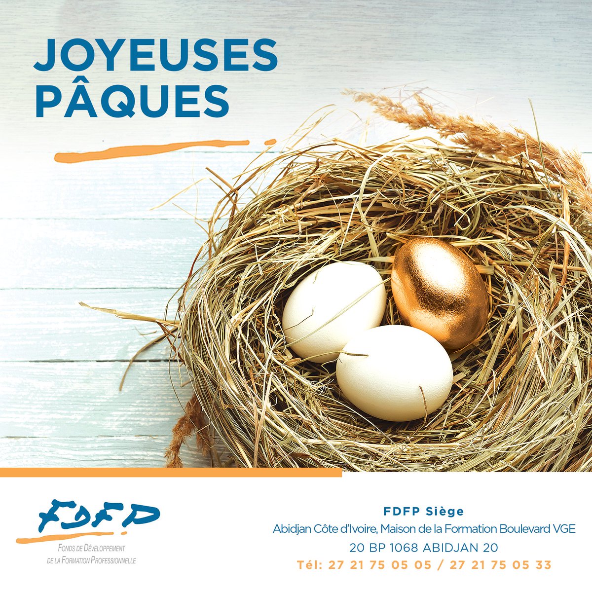 fdfpciofficiel's tweet photo. ✅[𝗝𝗢𝗬𝗘𝗨𝗦𝗘𝗦 𝗣𝗔̂𝗤𝗨𝗘𝗦]🐣⛪️

Nous souhaitons à toute la Communauté Chrétienne une Joyeuse Pâques.

Excellent dimanche à tous et à toutes !

☎️: 27 21 75 05 05/27 21 75 05 33
🌐: https://t.co/wxkvYAn6Xp

#FDFPCotedIvoire #BonneDimanche #JoyeusesPaques #HappyEaster https://t.co/YBoxhaw9TZ