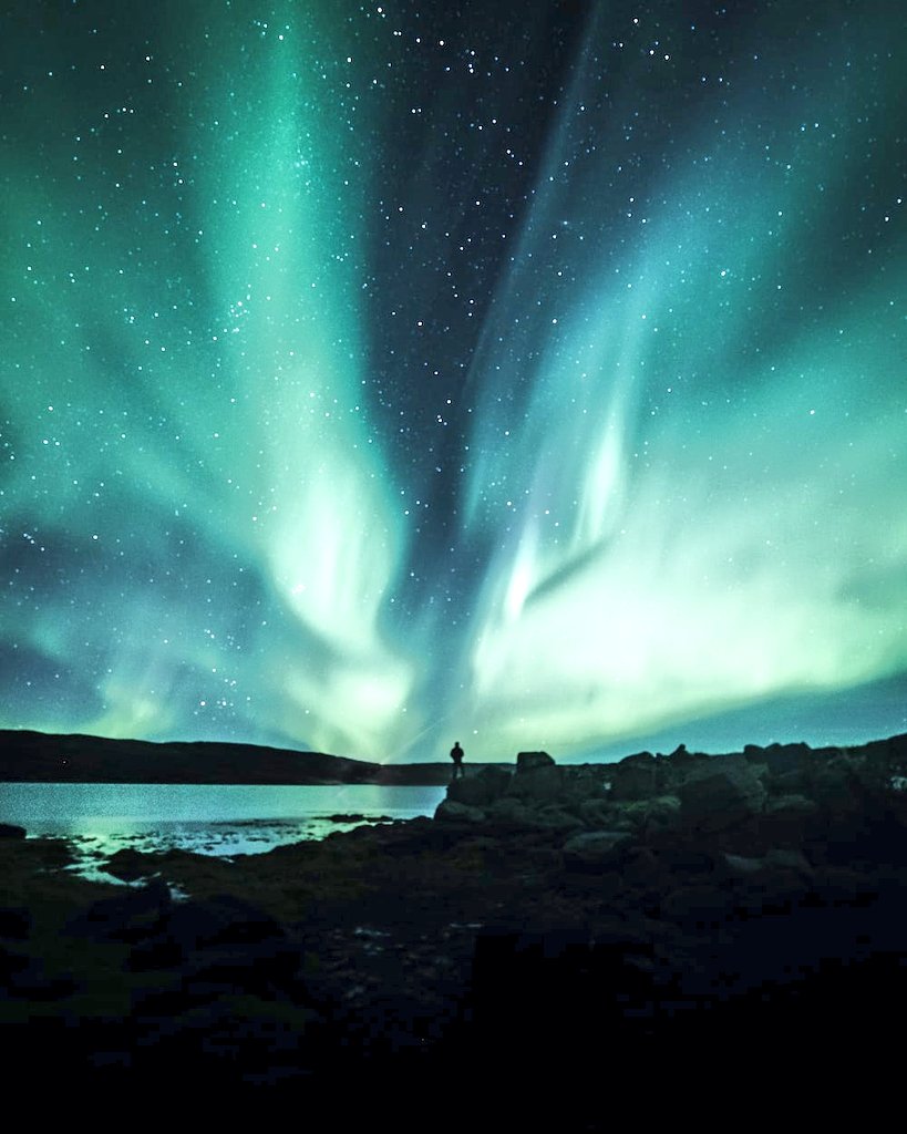 ♡Naomi♡🇵🇸 tweet media