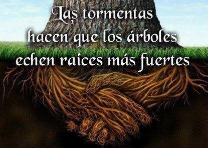 JorgeDavidTor12's tweet photo. https://t.co/qEmLtyosKS