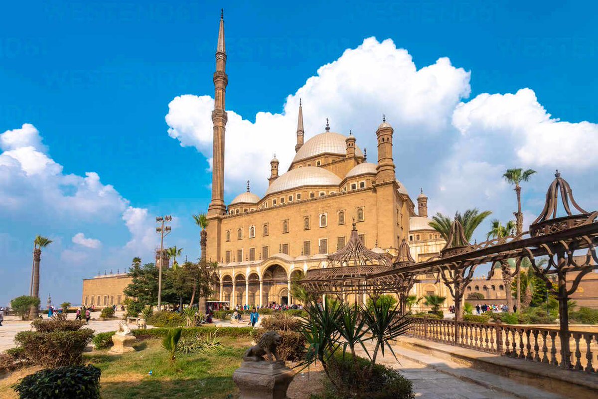 SD_Egypt's tweet photo. #StartinEgypt🇪🇬
🔥 Hot from the oven... Week 14'23 | Issue No. 37 | 🌙 #Ramadan's Vibes During the 💰 Economic Recession
https://t.co/oW3NcPL7N6 https://t.co/nU9f1sPN58