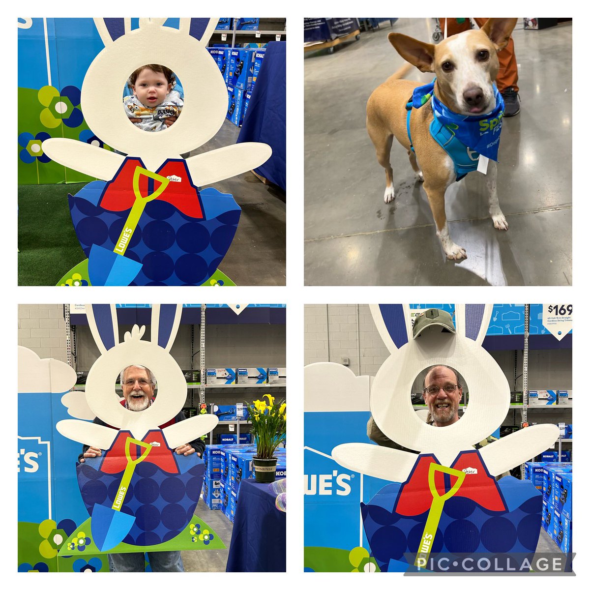 bowtieguy65's tweet photo. What an “Egg-Venture we had today! Fun was had by all including our 4 Legged customers! @nmcmillan1369 @BenitoKomadina @xen_arely @Lowes1528 #LowesSpringFest https://t.co/HwwOuT5yIf