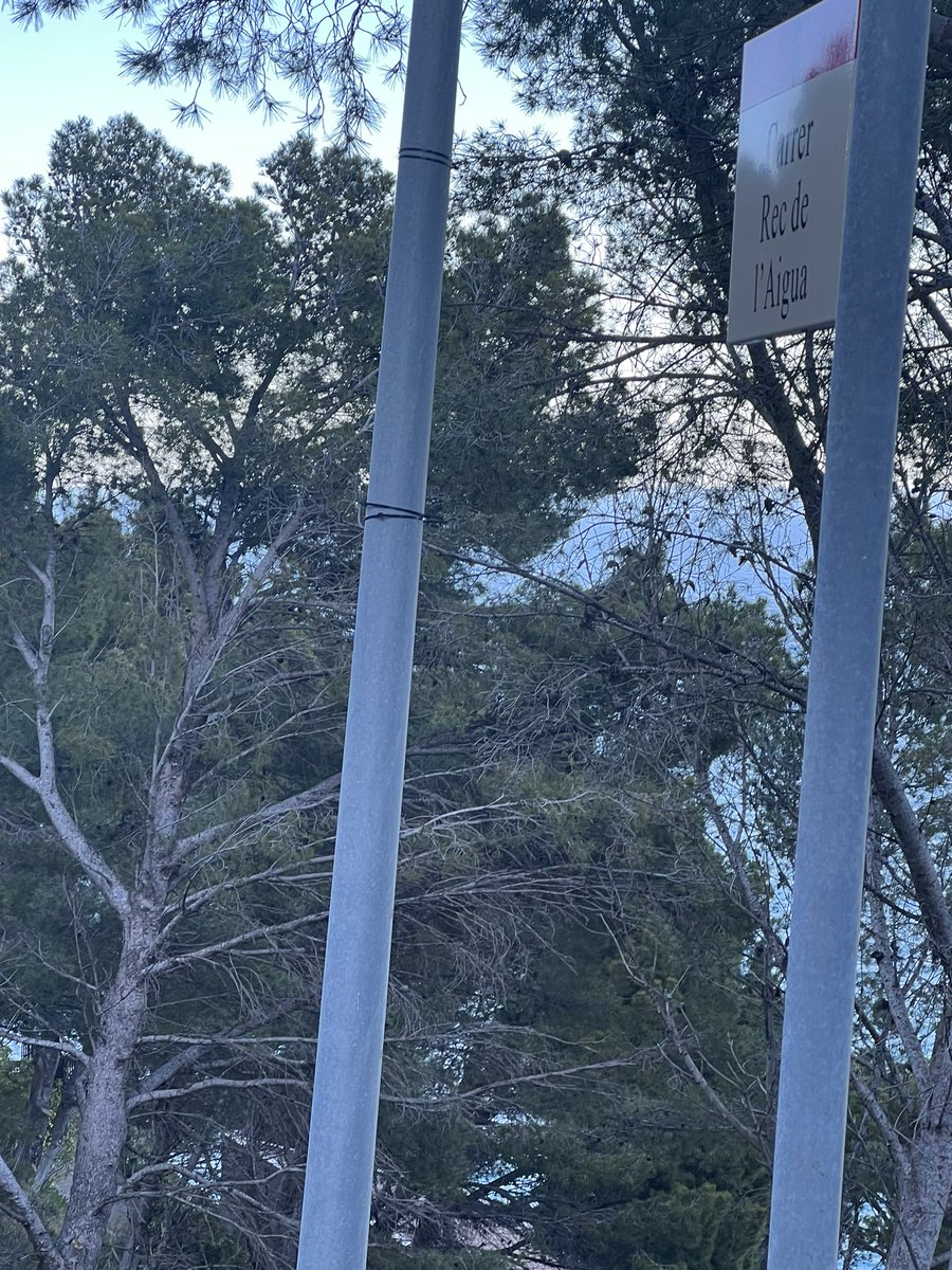 otiliogonzalez's tweet photo. @AjBegur ha desaparecido la señal de prohibido acampar de la Borna…hay que reemplazarlo! https://t.co/rgFjpyCqau