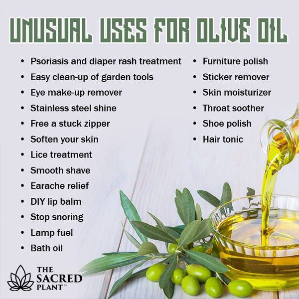 Organic Live Food on Twitter "Oliveoil is high in omega3 fatty acids