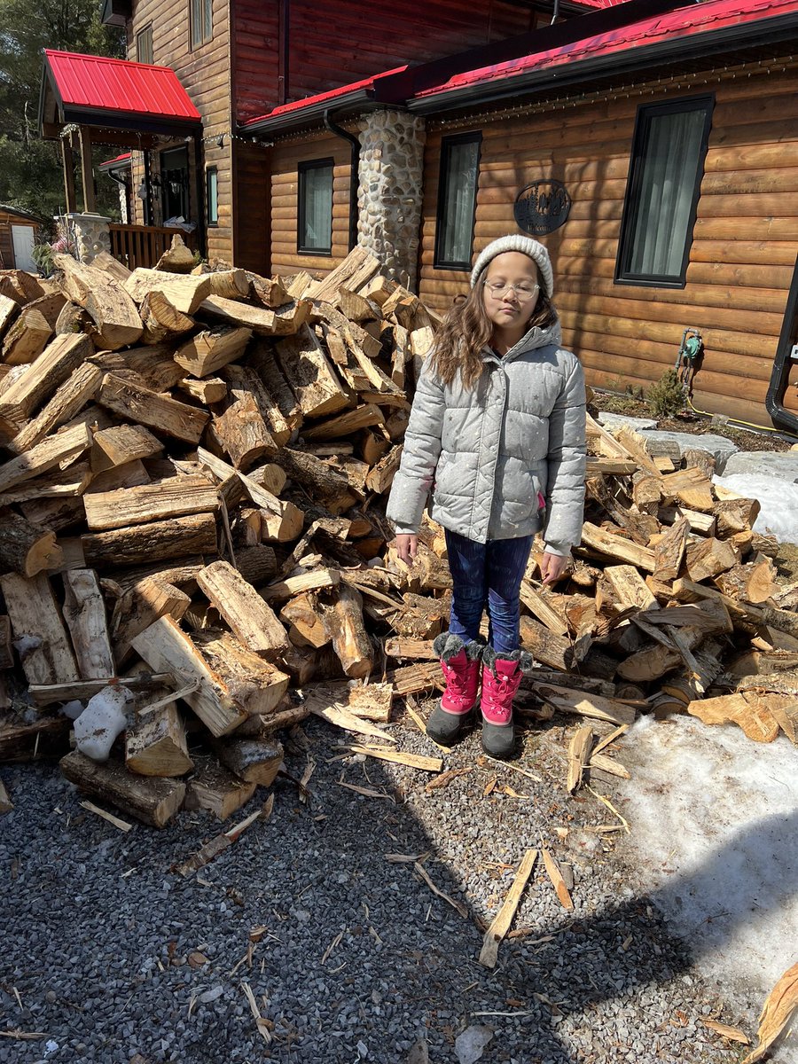 MrsPeterka's tweet photo. I told my Gr5s about how my in-laws heat their home through the winter with a wood stove instead of natural gas or propane… well here we are preparing for next winter! Look at all that firewood!  #realworldscience https://t.co/9K78hQVKCa