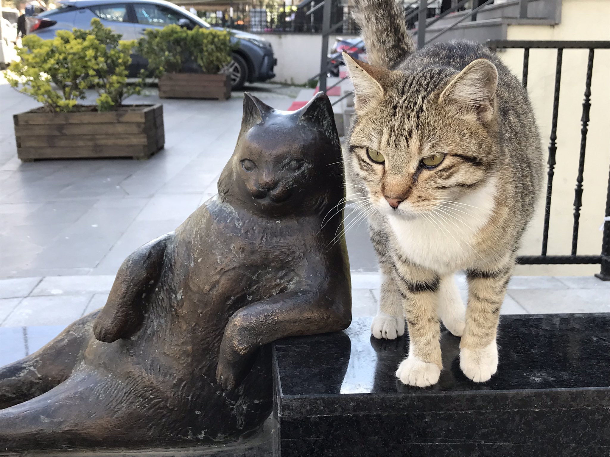 Delphine Minoui (DelphineMinoui) / Twitter