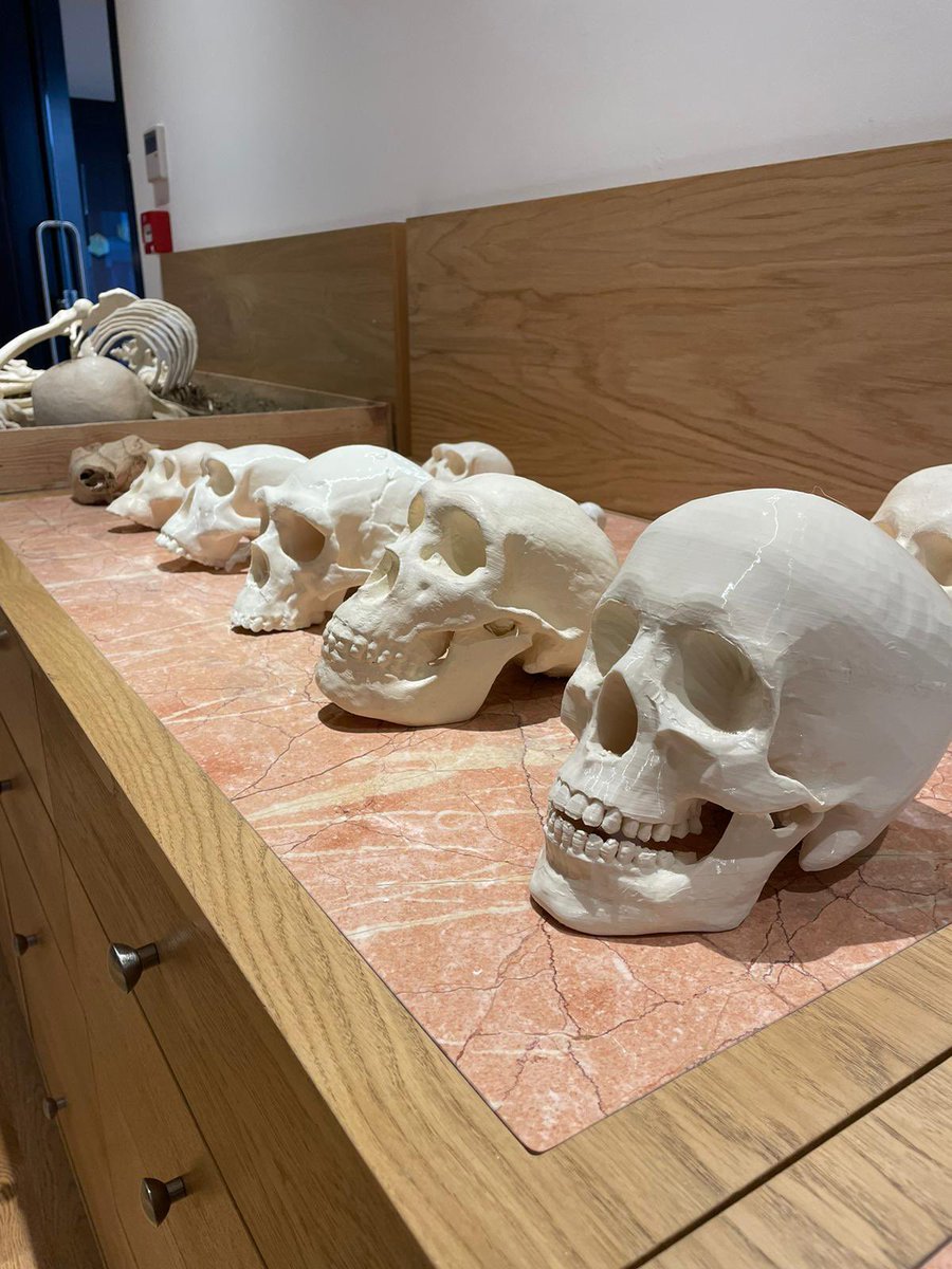 JRArchaeologist's tweet photo. Malzeme,materyal ve replika buluntularımız JR.Archaeologist meslek uzmanları tarafından bilimsel veri ve ölçülere göre hazırlandı.
Çocuklarımız; Arkeolog,Konservatör ve Antropolog eşliğinde arkeolojik araştırma ve çalışmaları yakından tanıyor. https://t.co/s4QlLVJ03Y