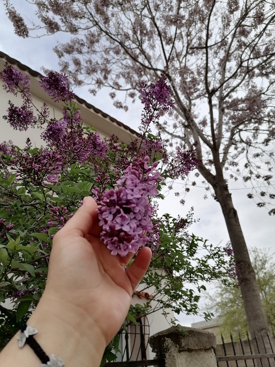 En güzel manzaramsın benim, seyretmeye doyamadığım ve asla vazgeçmediğim..