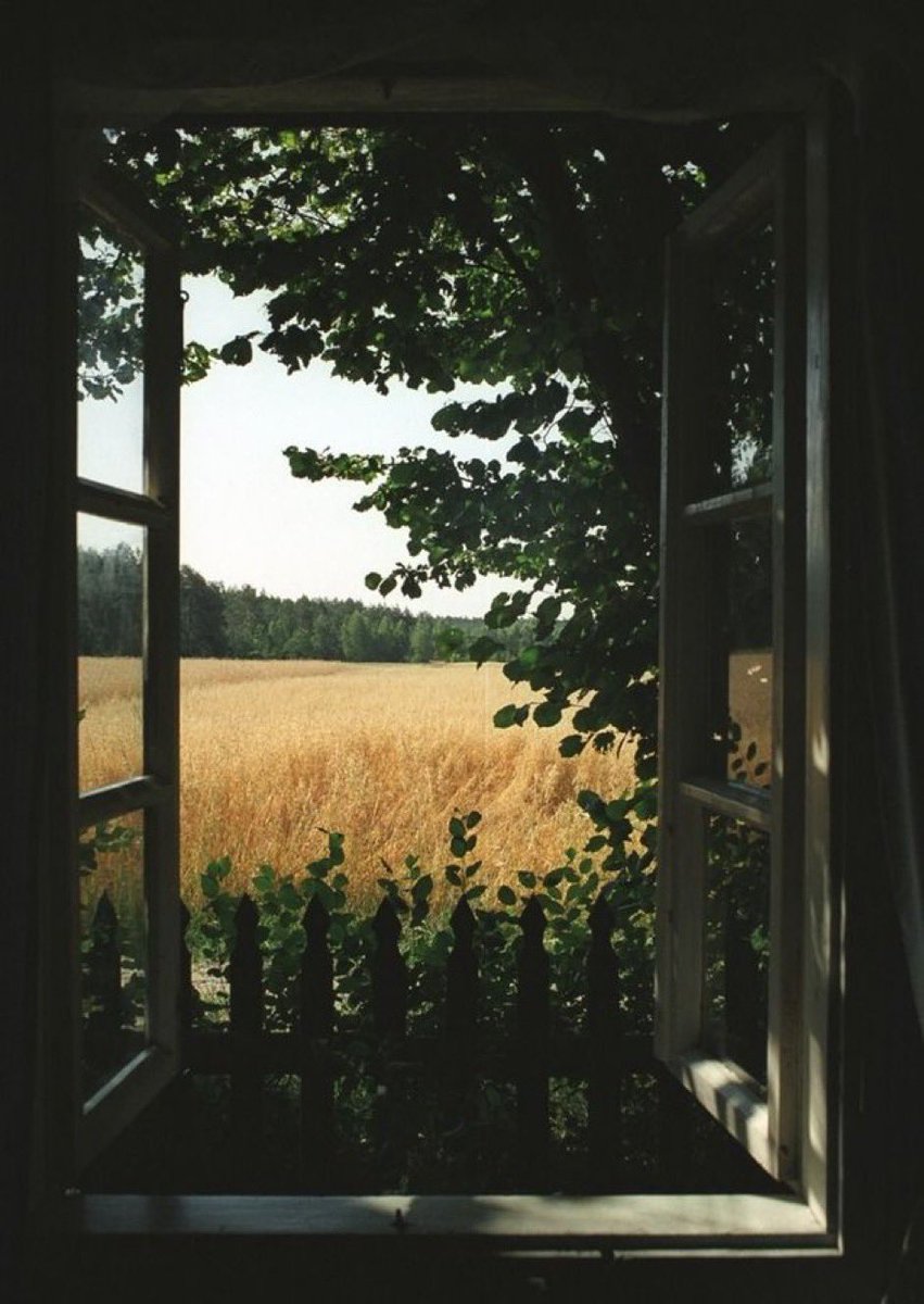 no_grave_'s tweet image. “In every room where you spend any length of time during the day, make at least one window into a "window place." - Christopher Alexander