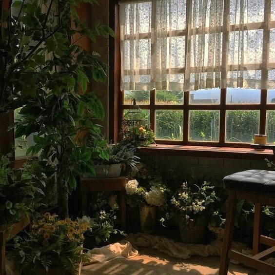 no_grave_'s tweet image. “In every room where you spend any length of time during the day, make at least one window into a "window place." - Christopher Alexander