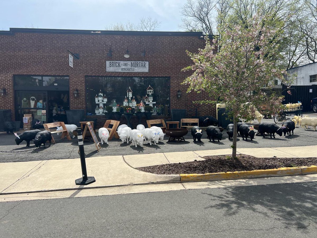 SolFireStore's tweet image. Hello my beautiful people!! Come join us at the beautiful town of Middleburg, Virginia. We are showcasing Sol Fire products, 
#Middleburg
#BrickandMortar
#thesunshinesforeveryone #thankyoumybeautifulpeople#simplenfabulous #fyp #Godisgood #ymiVirgencitatoo