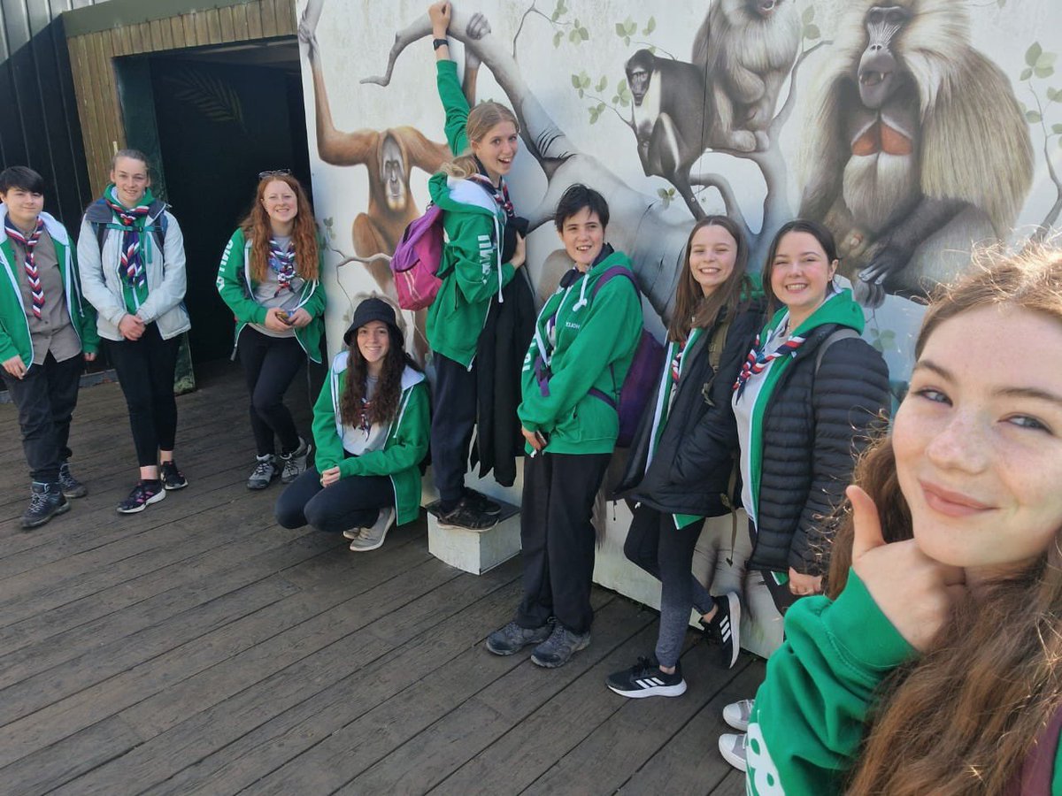 Unit87 WSJ tweet media