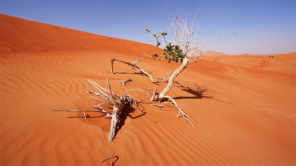 Relaxing Desert Landscape - Ambient Piano Music.
Video Link: youtu.be/uIw9zBOqbd8
Please support me by pressing like (if you like the video), share, and subscribe to my YouTube channel. Thank you.🙂 #Desert #relax #calm #Travel #travelblogger #travelphotography