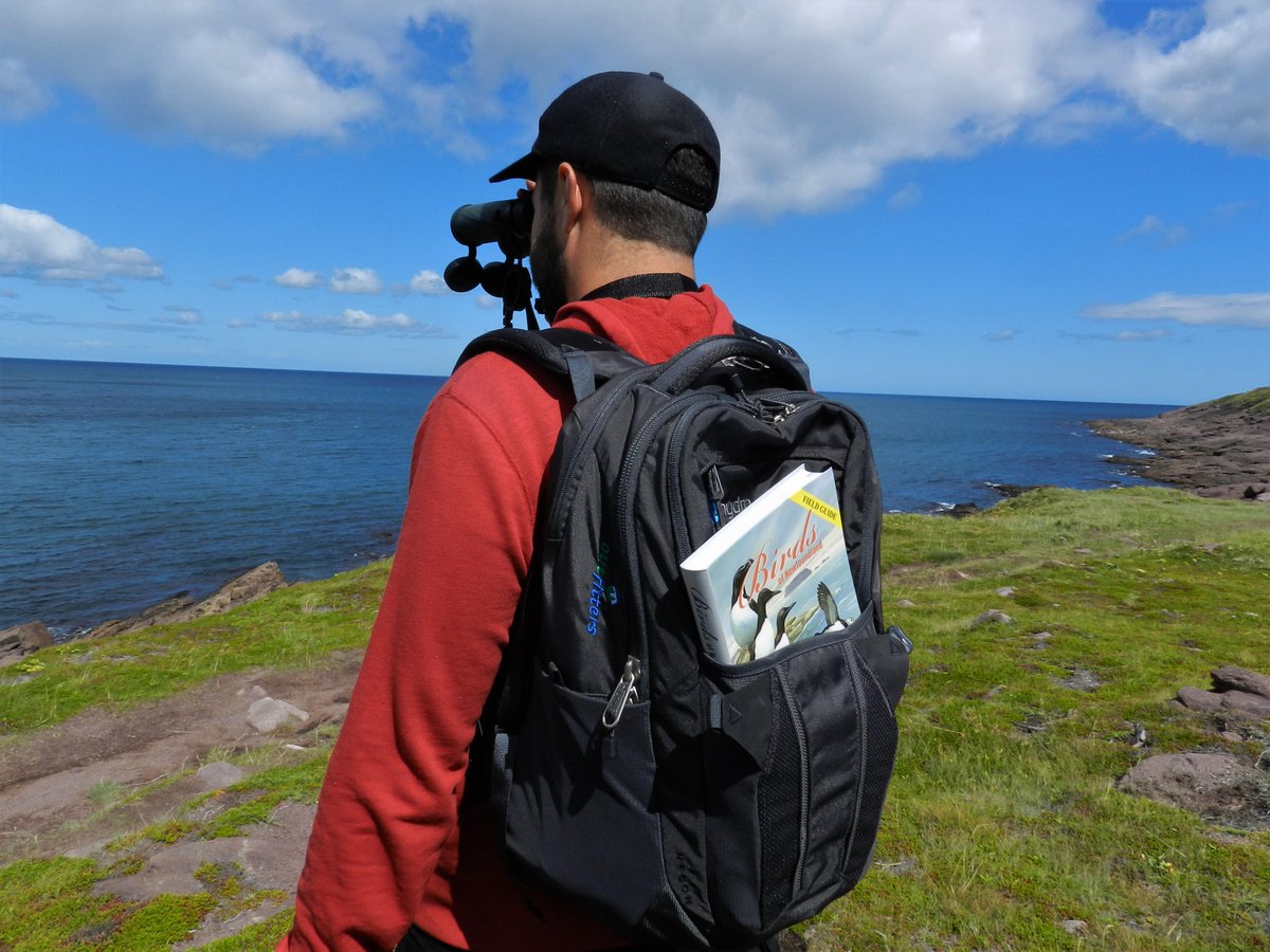 Spring is here and birds will soon be migrating back to the province! Want to try birdwatching and learn more about these incredible migrants? Borrow a birdwatching backpack from your local library with everything you need to get started Learn more here naturenl.ca/projects-2/
