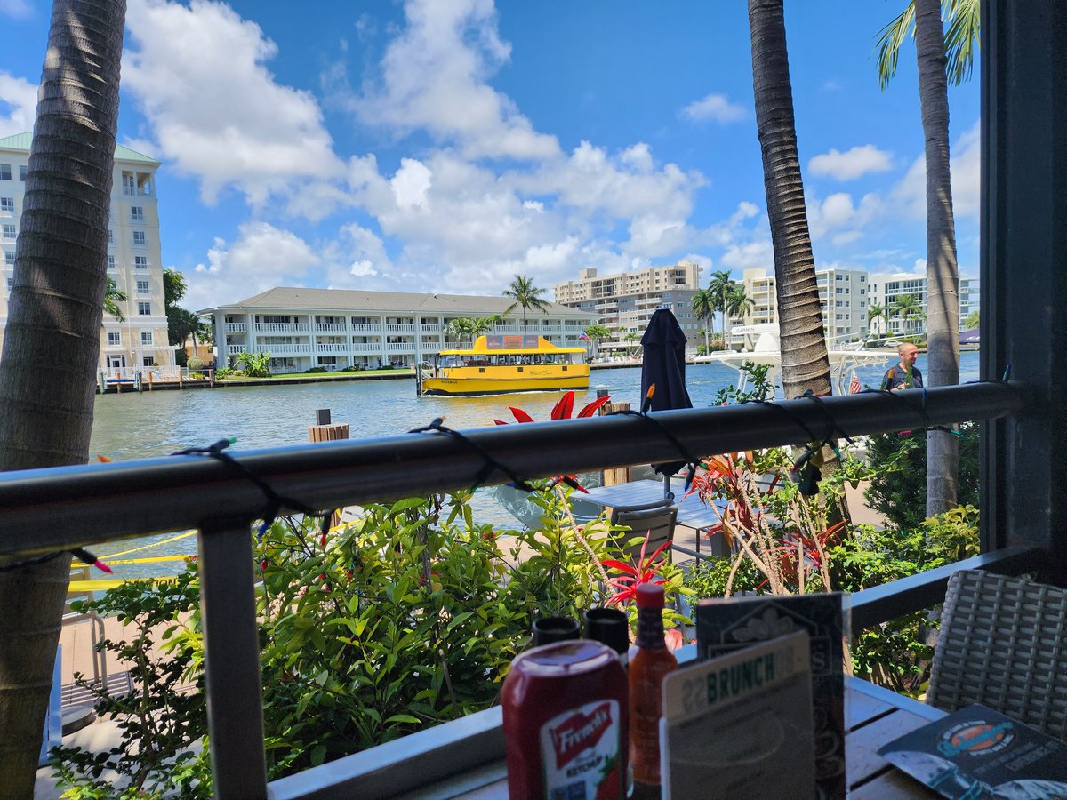 Frog Capital on Twitter "Even our taxis are better here.."