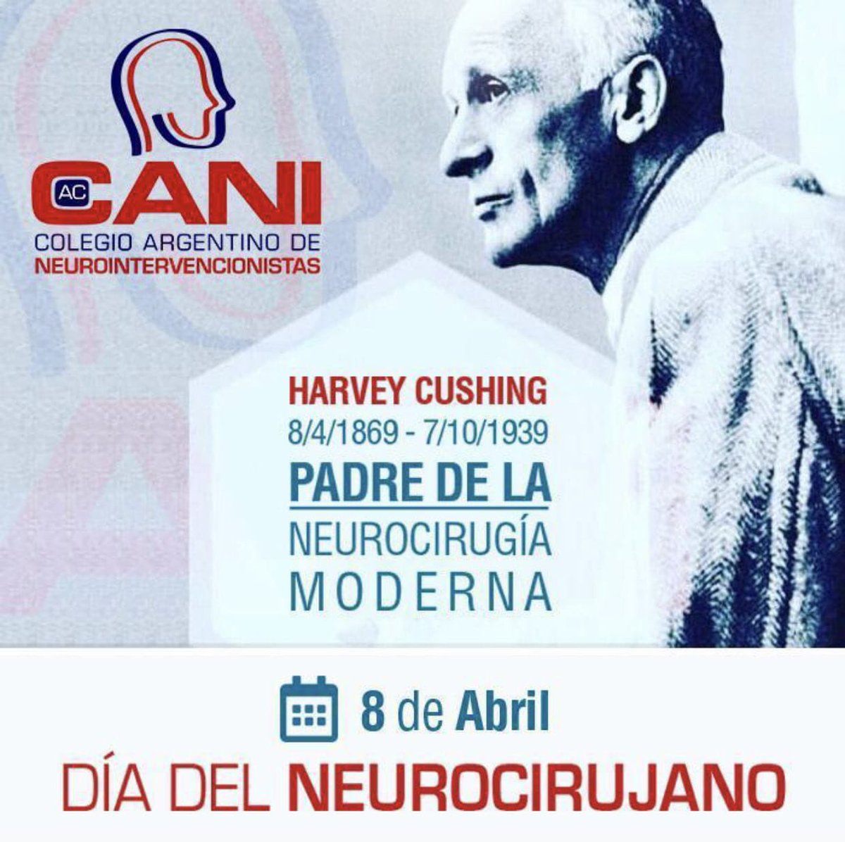 CANI (@cani2021) on Twitter photo 