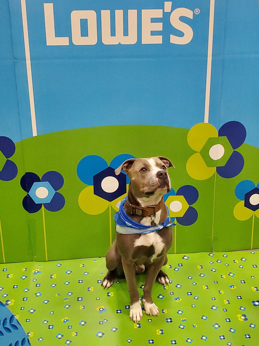 We had an "egg"cellent turnout at the Egg-venture at Summersville Lowe's!🐣 <a href="/BlueBoxR1/">@BlueBoxR1</a> <a href="/JBBailey9/">JBBailey</a> <a href="/johneric88/">John Pyatt</a>