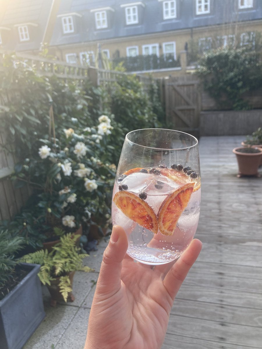 I have few talents but I do make a cracking G&T! #teacher #teaching #internationalteacher #homefortheholidays