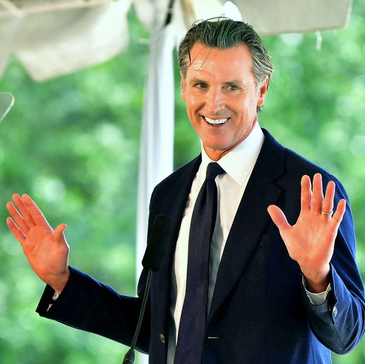 Katherine Dee on Twitter "President Gavin Newsom, it just sounds right