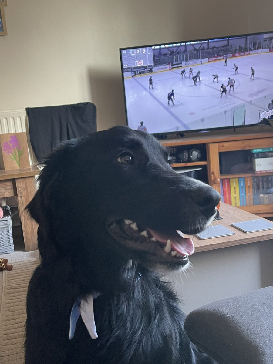 Eden’s a very excited girl! 1-3 to <a href="/GoPhantoms/">The Wendy's Peterborough Phantoms</a> 🥳 vs <a href="/Raiders_IHC/">Romford Raiders</a> <a href="/RaidersIHCMN/">Romford Raiders Match Night</a> #LRvPP