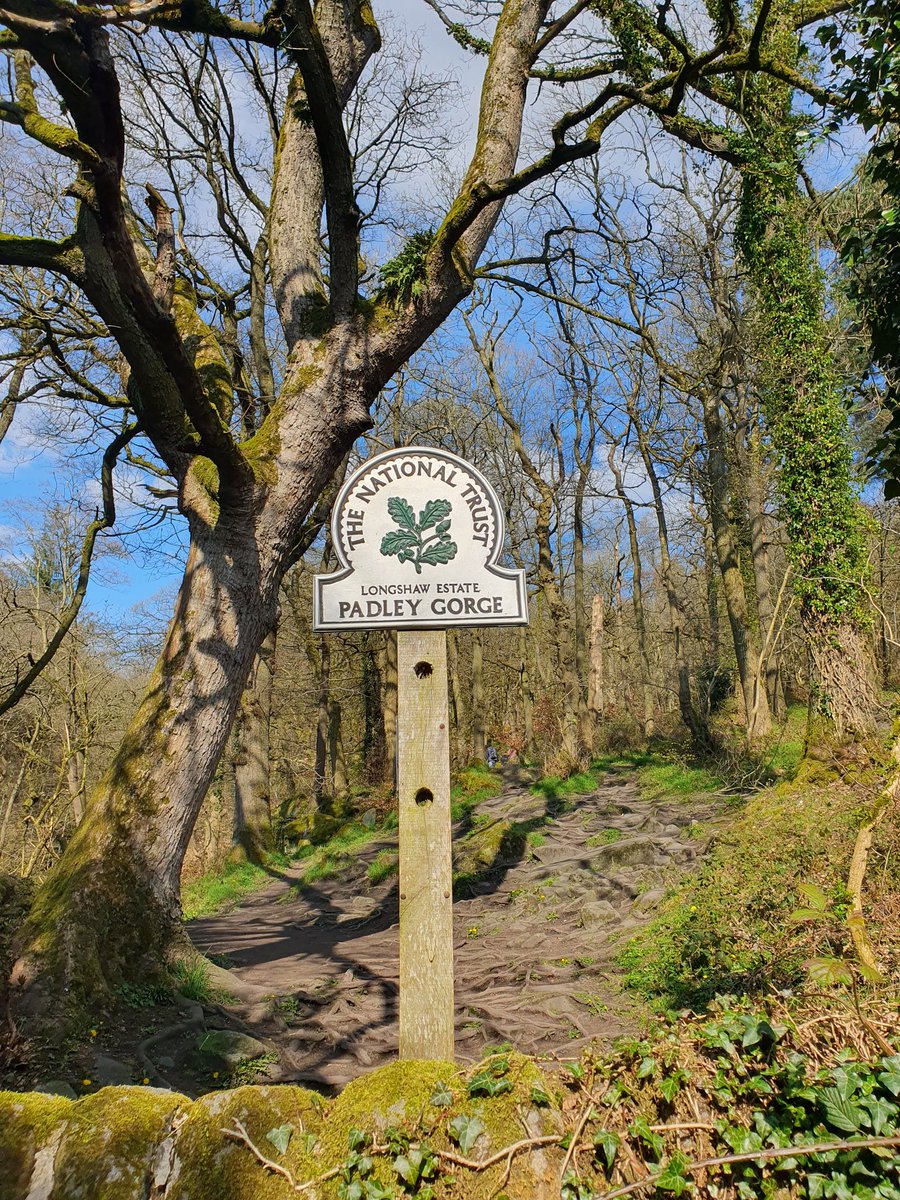 Padley Gorge Trail, the Peak District 🏴󠁧󠁢󠁥󠁮󠁧󠁿

A lovely way to spend a sunny Saturday afternoon exploring.

Will write up a summary in the next newsletter 📰

Happy Easter &amp; I hope you've found time to explore the great outdoors 🥾