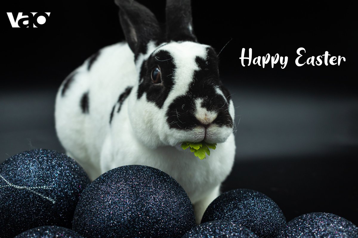 Happy Easter 🐇🐇🐇from <a href="/vao/">Vao</a>