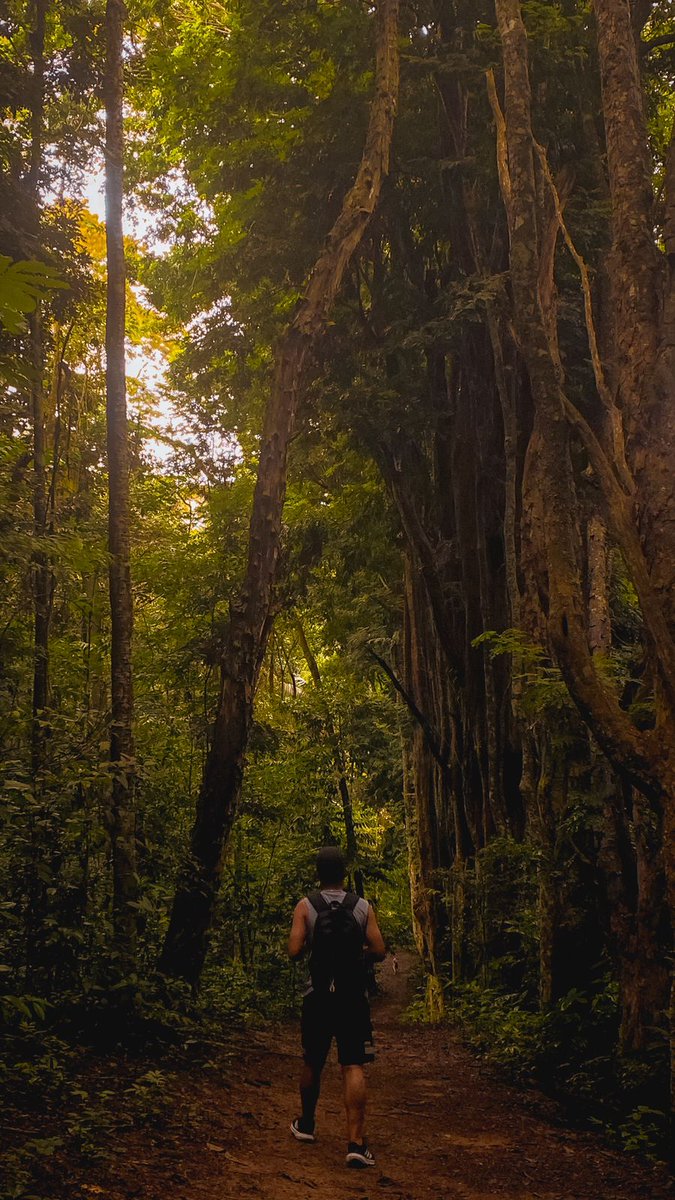 Emmanuel Messias da Gama ✠ tweet media