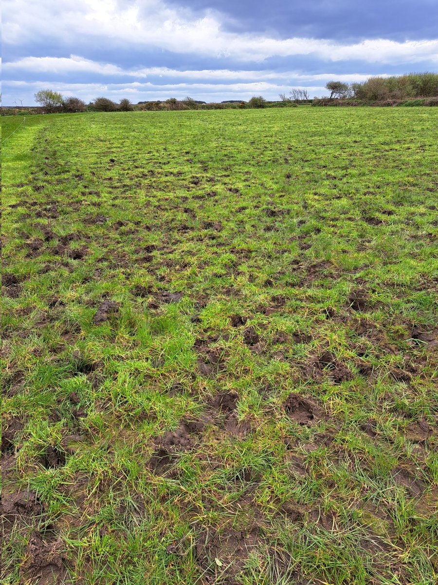 mountrivers12's tweet photo. Looks like we ll b at this craic for another while yet. #onoffgrazing #backfence #morerainontheway https://t.co/BI6VstWK7C