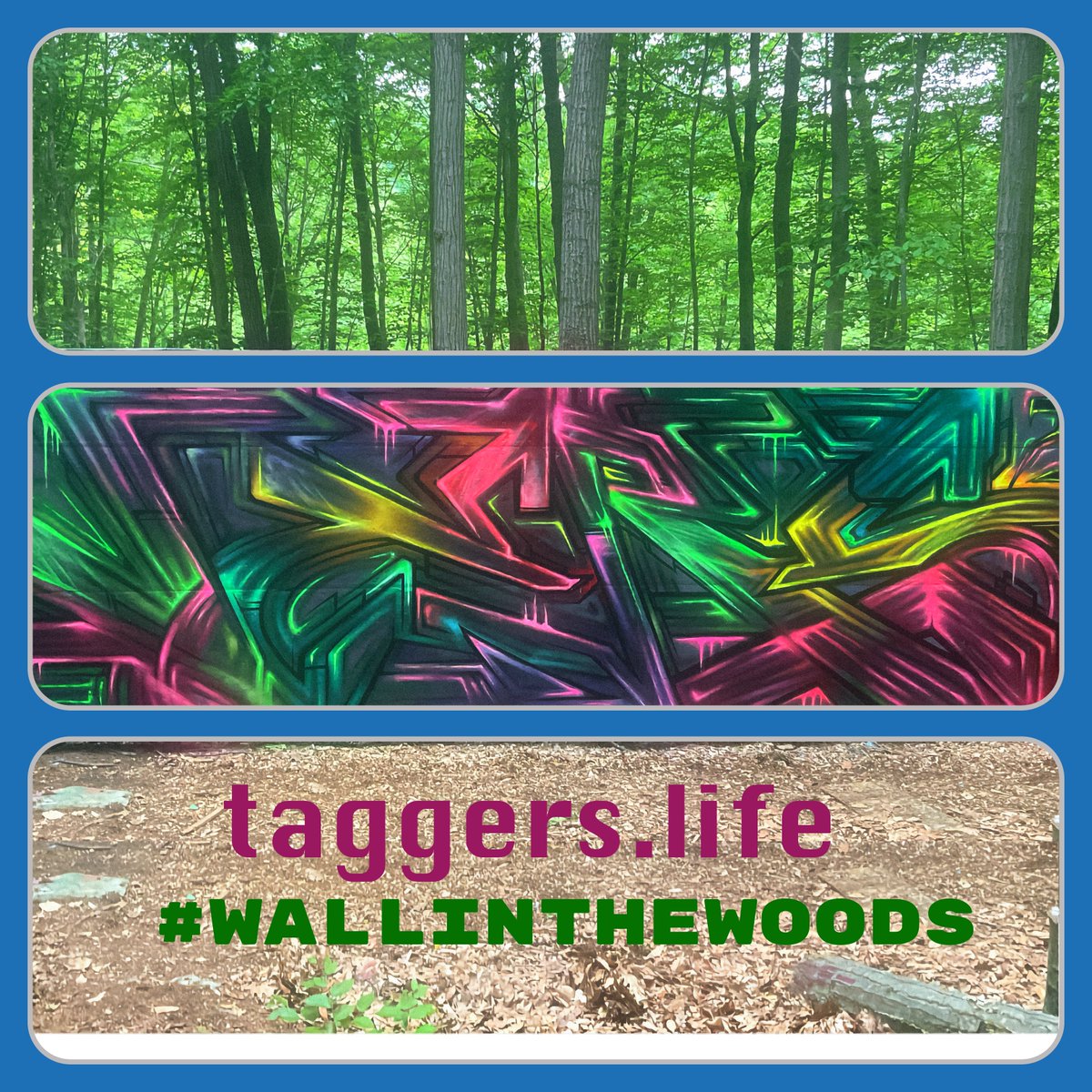 Taggers.life: Where Creativity Meets Nature at the Wall in the Woods.
"The earth without art is just eh." - Unknown
#graffitiart #graffiti #landart #taggerslife @vers718