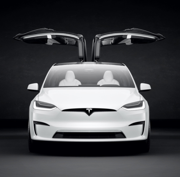 Tesla Model X kapılarına neden "Falcon Wing Door" denildiğini gösteren fotoğraf. Gerçi bu fotoğraftaki Falcon yani Doğan değil, bir Küçük Kerkenez ama akrabalar. <a href="/elonmusk/">Elon Musk</a> <a href="/Tesla/">Tesla</a>