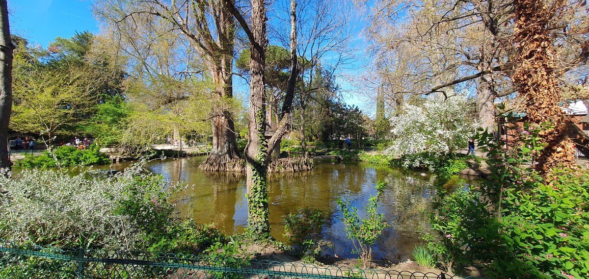 Cyril Dlms tweet media